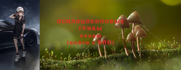 наркотики Алзамай