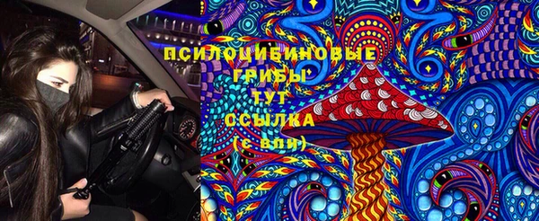шишки Алексин