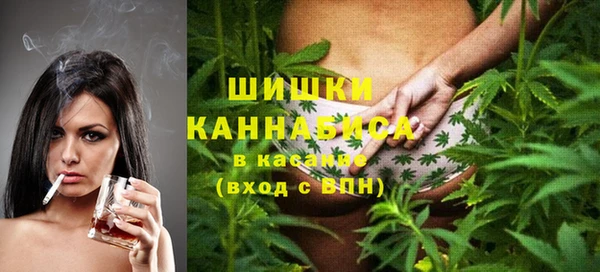 шишки Алексин