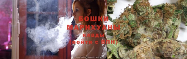 шишки Алексин