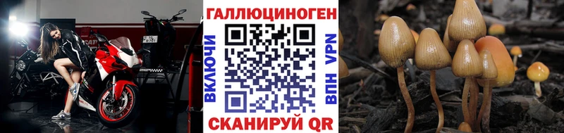Псилоцибиновые грибы GOLDEN TEACHER  кракен маркетплейс  Мещовск 